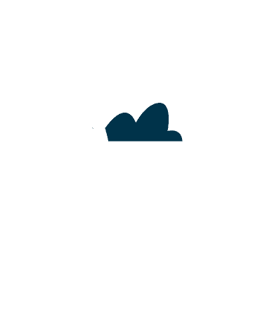 Infographic 6
