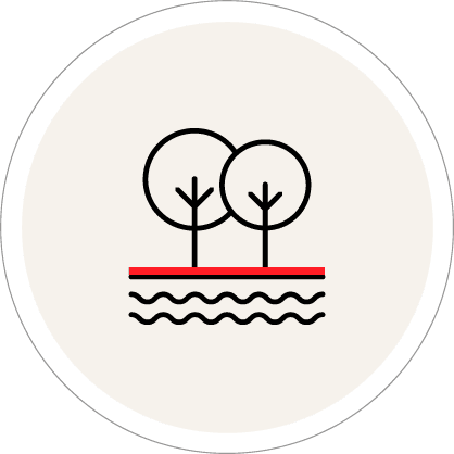nature-wetlands.png